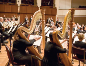 Two harp players playing in the National Symphony Orchestra.