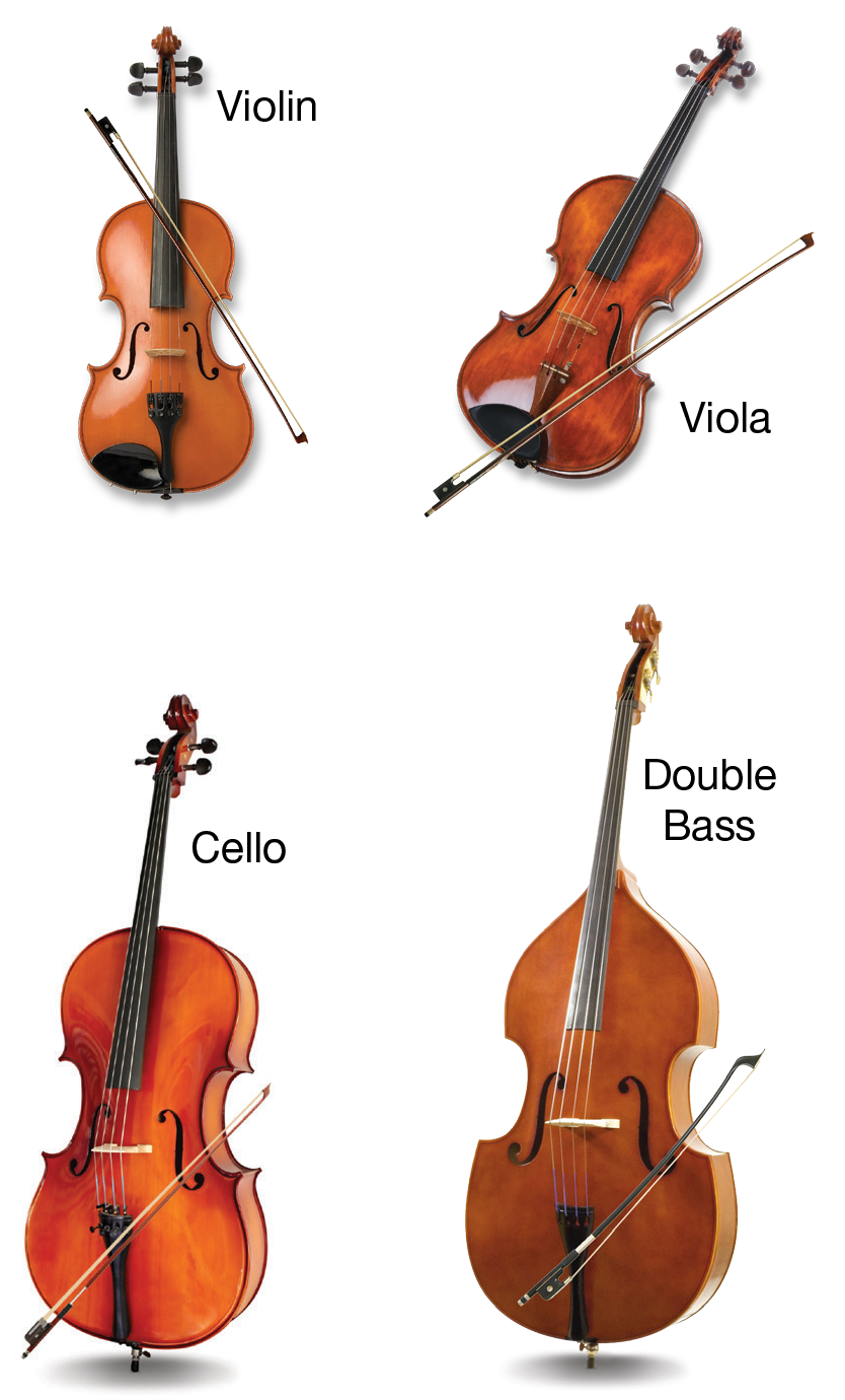 A picture of a violin, a viola, a cello, and a double bass.