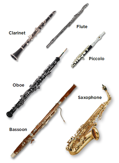 A picture of a clarinet, flute, oboe, bassoon, saxophone, and piccolo.
