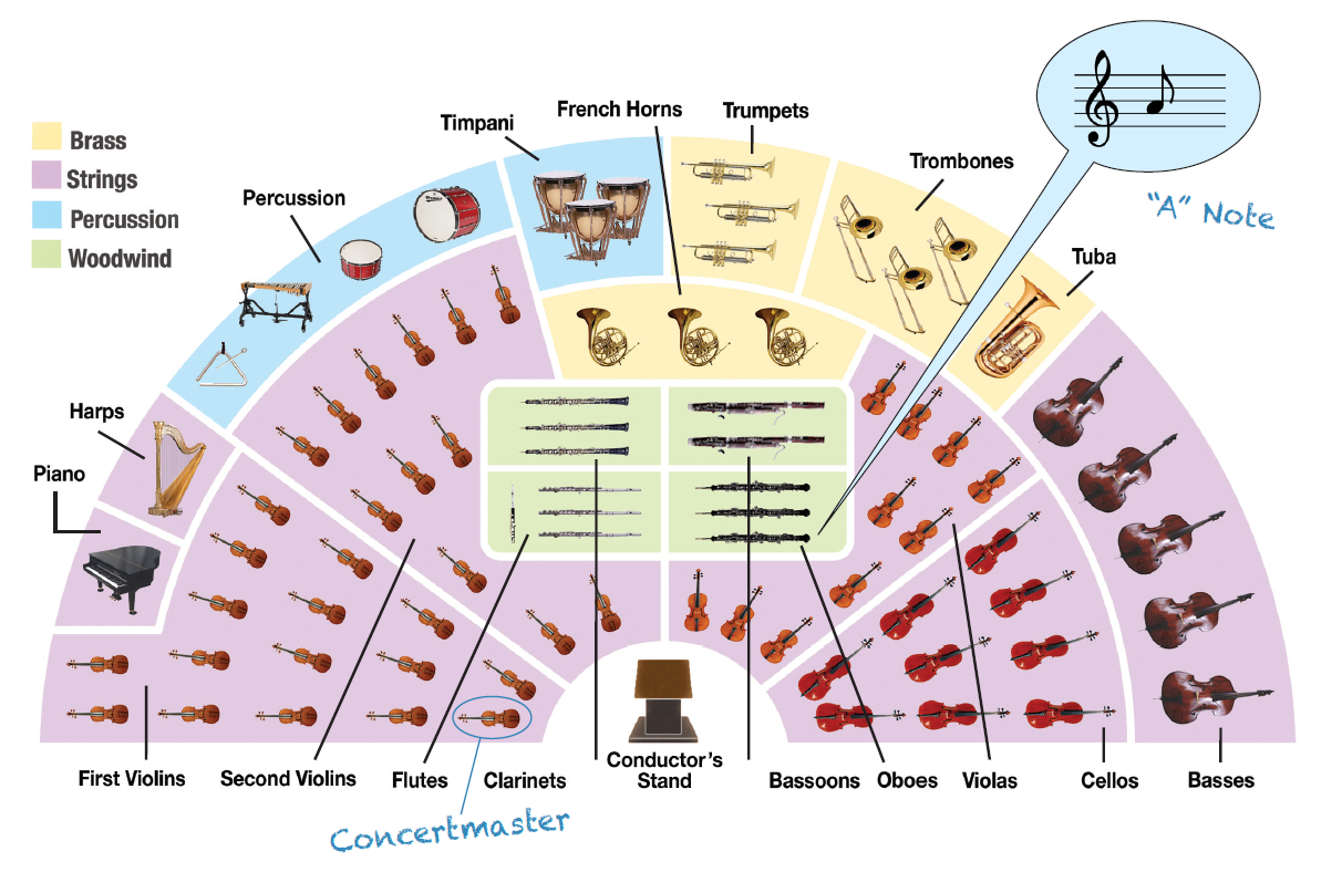 A drawing showing a semicircular layout of an orchestra with all of the instrument groups represented.