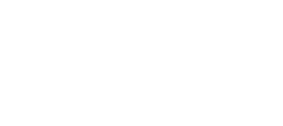 Kennedy Center Access/VSA International Access