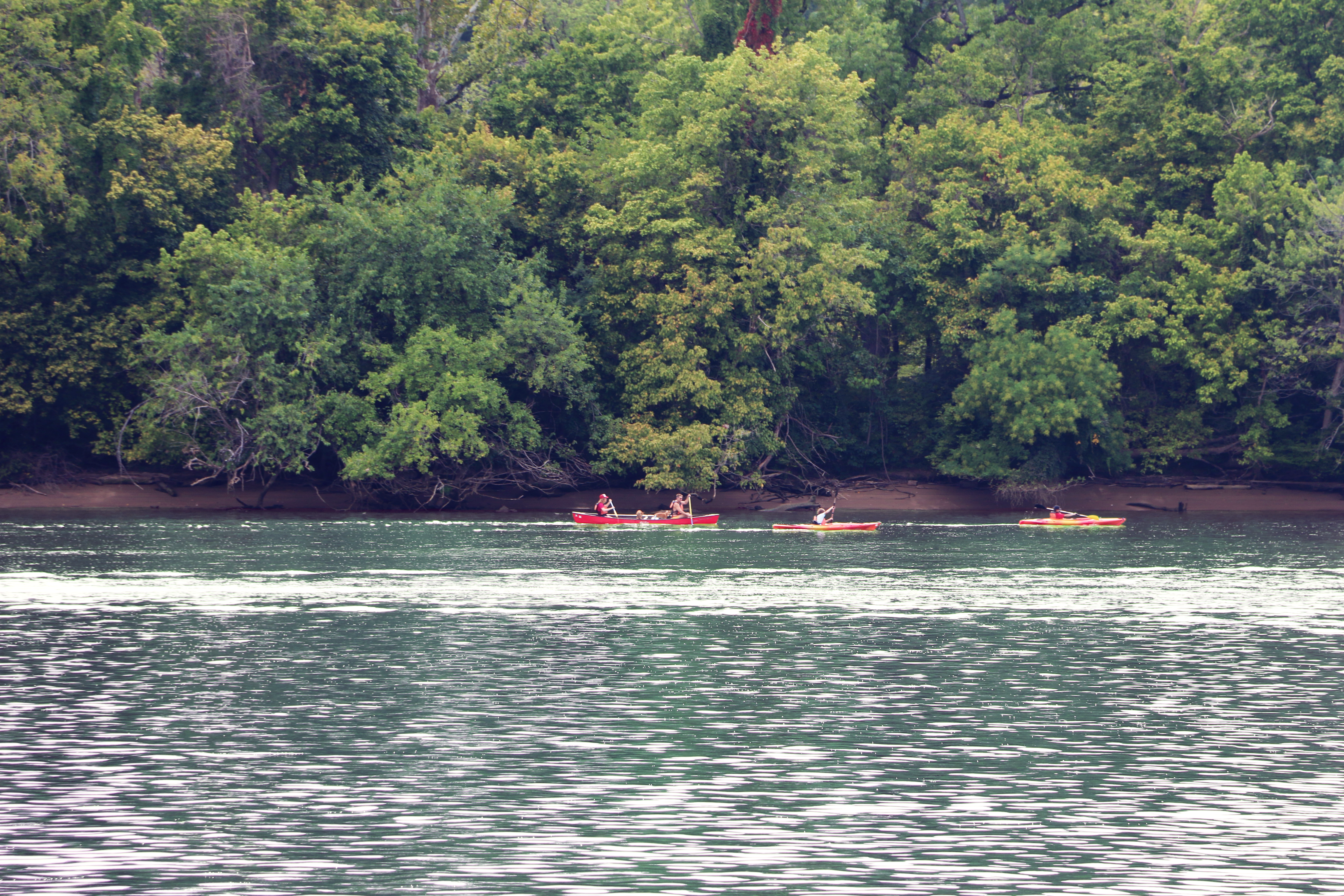 Article-Formal Visual Analysis-IMG_1921.png