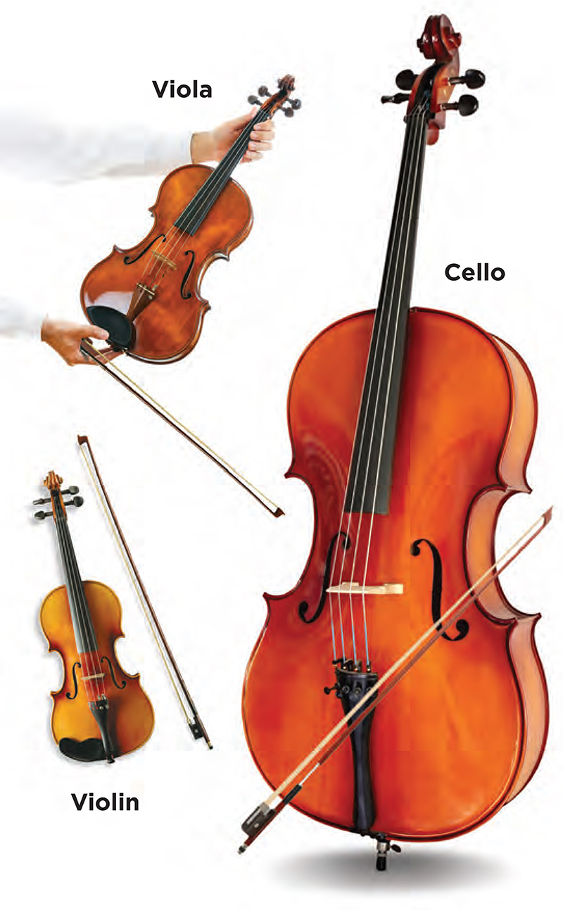 Photos of a violin, viola, and cello with their respective bows. The viola and its bow are held by two hands to illustrate that it is larger than a violin but smaller than a cello.
