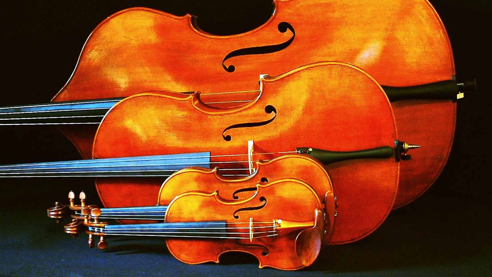 Four string instruments lying on their sides in increasing size order from front to back.