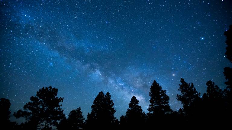 A silhouette of trees with a dark blue evening sky and bright stars.