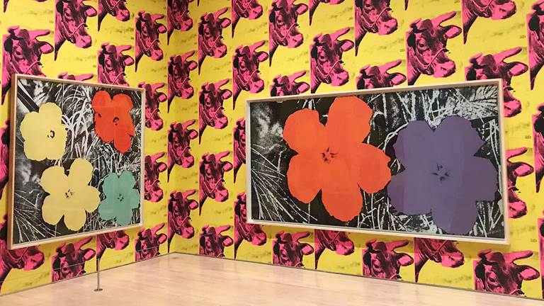 Brightly colored cow prints on a wall with two large framed printed art of flowers. 