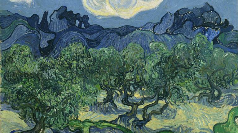 A Vincent van Gogh painting of olive trees. In the background there is a blue sky with a swirly sun. There are blue pointy and curvy mountains in the middleground. Olive trees with green leaves and wavy and twisted branches are seen in the foreground.