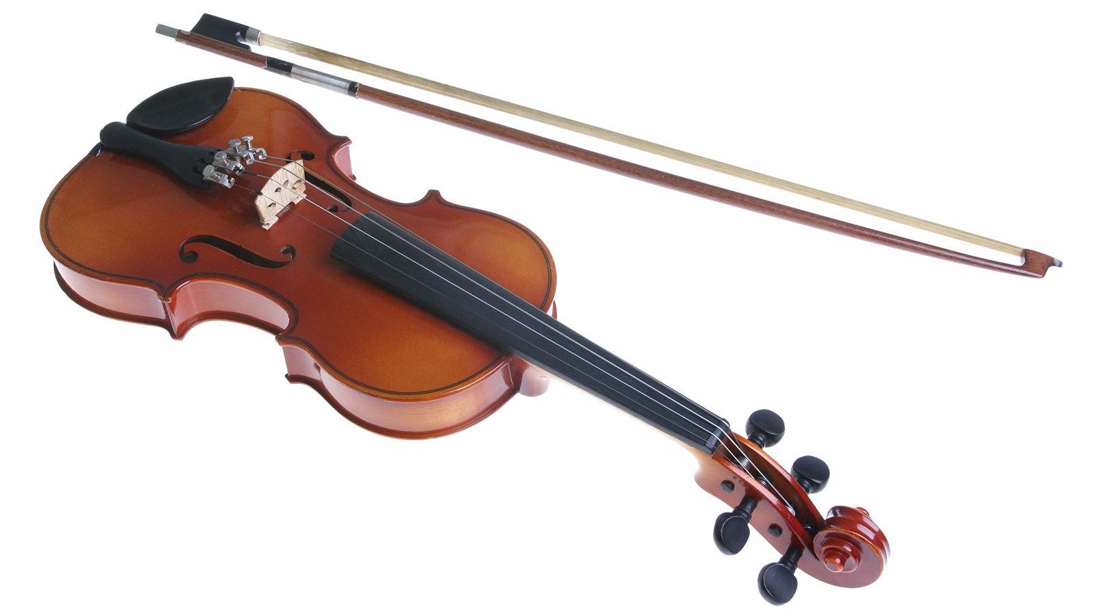 violin-169.jpg
