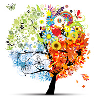 An illustrated image of a tree whose leaves are divided into four sections to colorfully represent each season of the year.