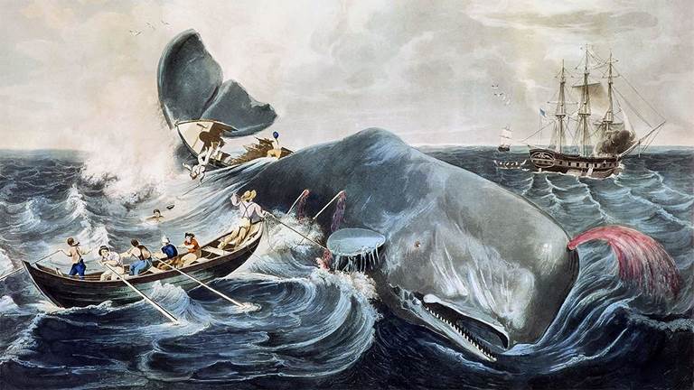 J. Hill, Capturing a Sperm Whale, 1835, colored engraving
