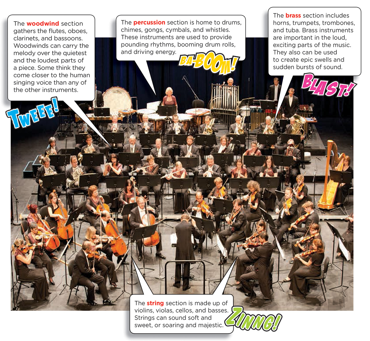An annotated image of an orchestra that highlights the woodwind section, the percussion section, the brass section, and the string section.