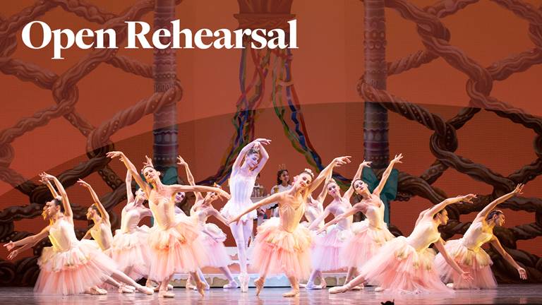 Open Rehearsal with Miami City Ballet